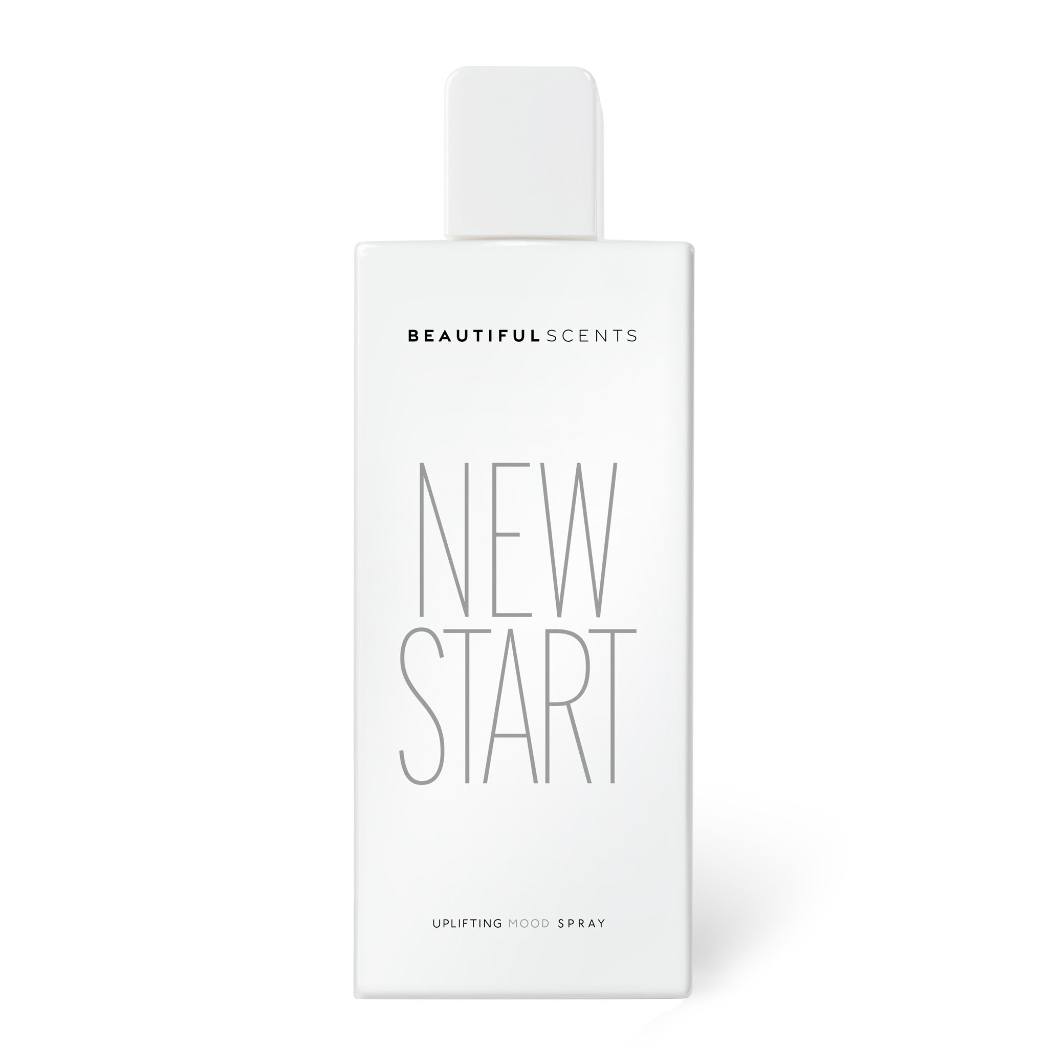 Newstart A New Start The Concept Of A New Beginning Craig