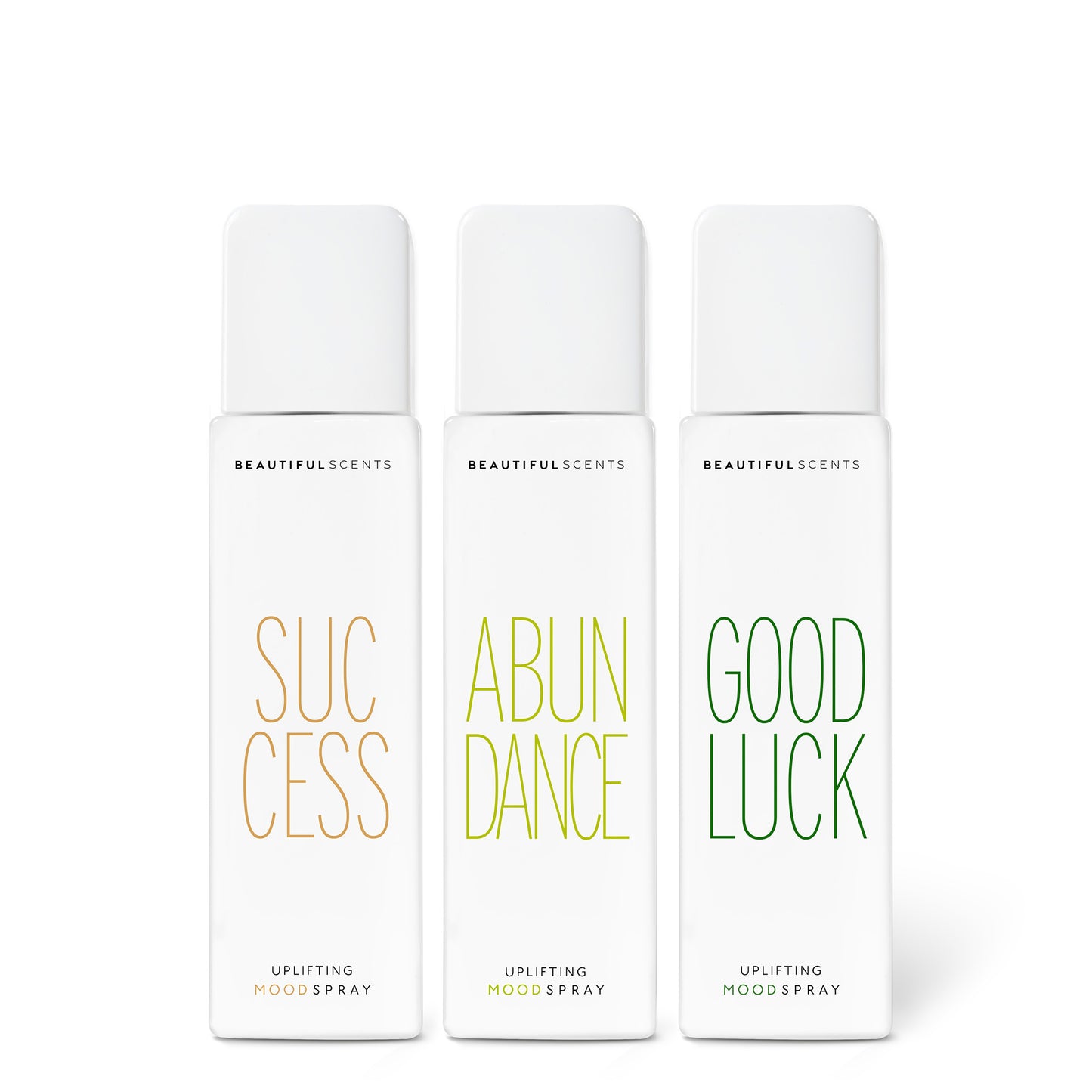 READYFORSUCCESS (3er SET)