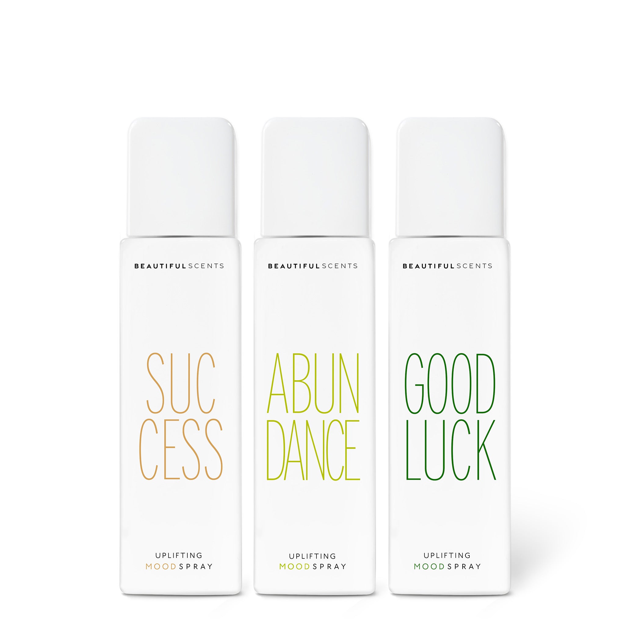 READYFORSUCCESS (3er SET)